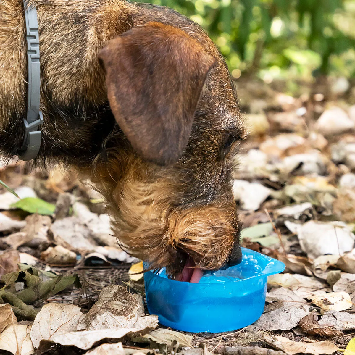 2-in-1 bottle with water and food containers for pets Pettap InnovaGoods