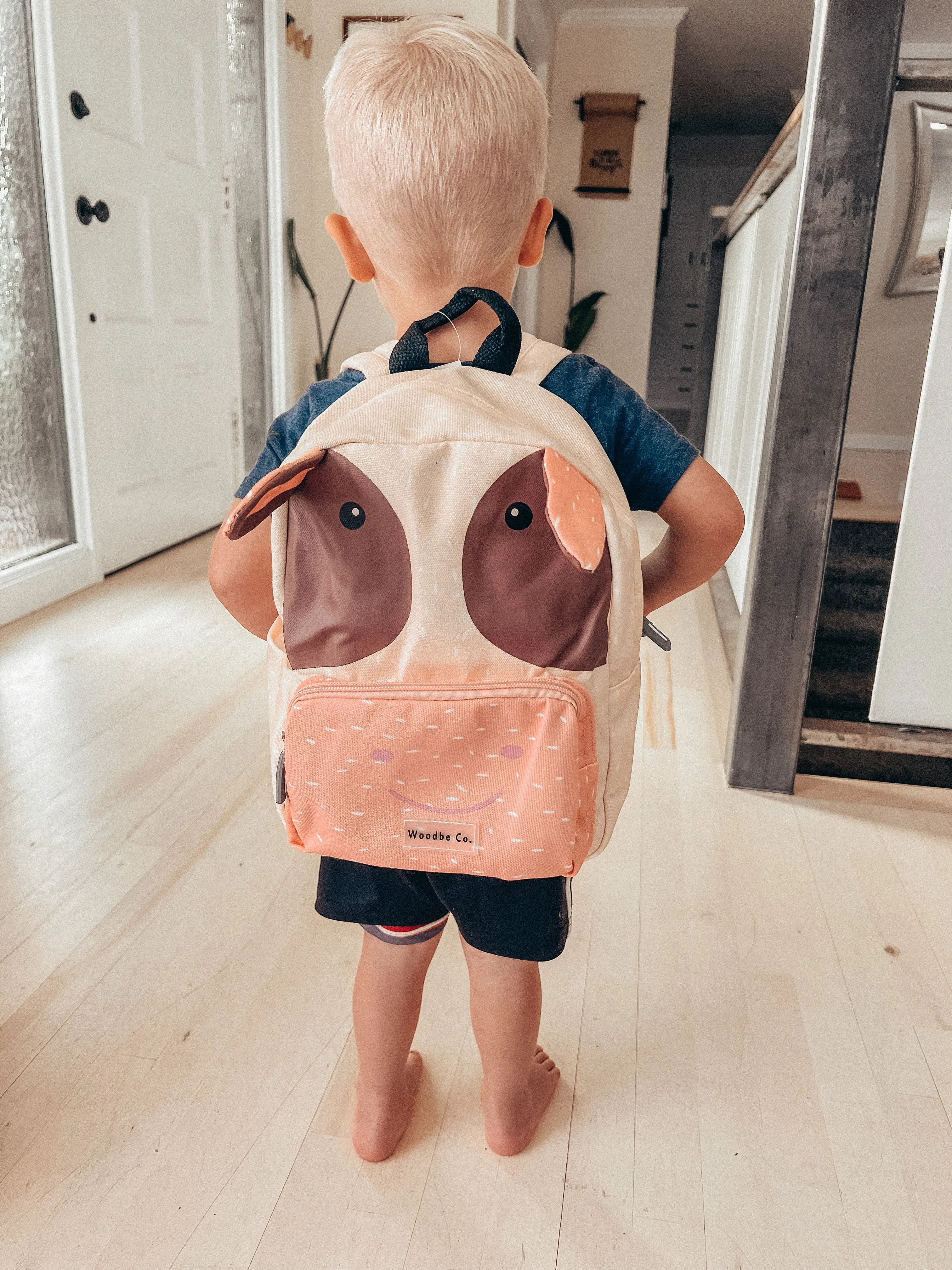 Mini Animal Toddler Adventure Backpacks