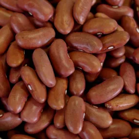 Rainy Day Foods Kidney Beans 25 lbs Bag - 123 Servings